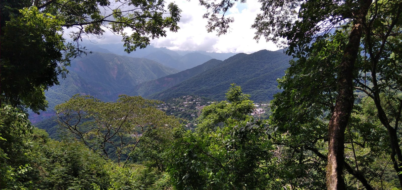 Yungas Jujuy Argentina, selva subtropical del Parque Nacional Calilegua con vegetación exuberante